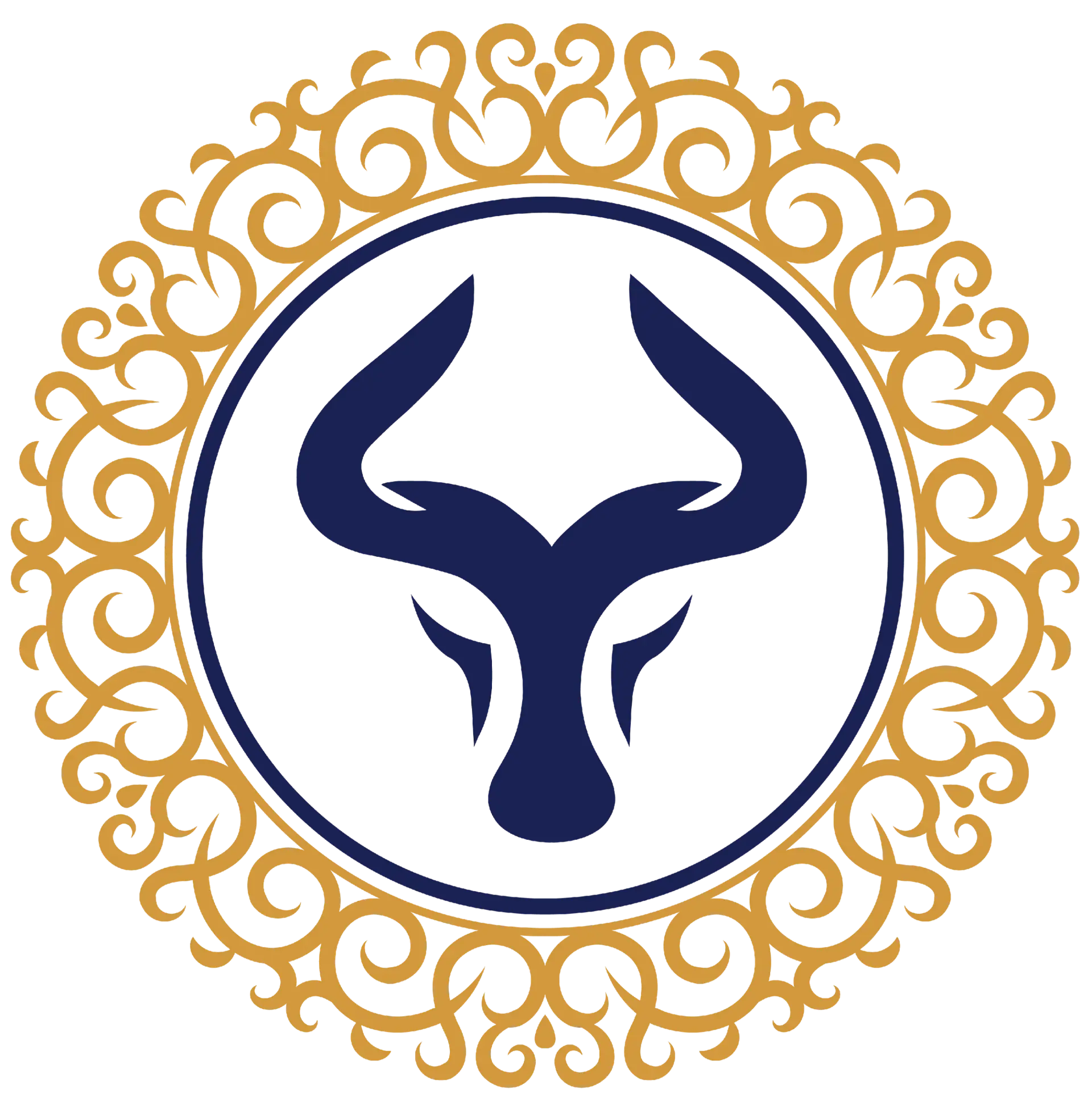 Nyatee Foundation logo